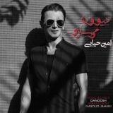 کاور آهنگ دیوونه میسازی