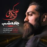 کاور آهنگ جاده شب
