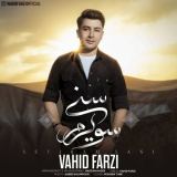 کاور آهنگ سویرم سنی