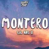 کاور آهنگ Montero (Call Me by Your Name)