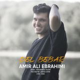 کاور آهنگ دل ببر