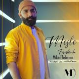 کاور آهنگ مثل فرشته ها