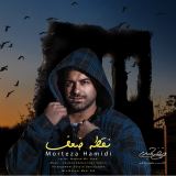کاور آهنگ نقطه ضعف