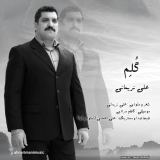 کاور آهنگ گلم