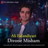 کاور آهنگ دیوونه میشم