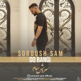 کاور آهنگ دو رنگی
