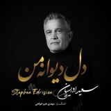 کاور آهنگ دل دیوانه من