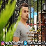 کاور آهنگ دل دیوونه