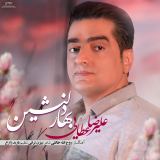 کاور آهنگ بهار دلنشین