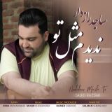 کاور آهنگ ندیدم مثل تو