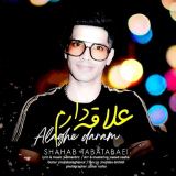 کاور آهنگ علاقه دارم