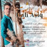 کاور آهنگ دلی عاشیق