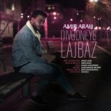 کاور آهنگ دیوونه لجباز