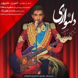 کاور آهنگ دلنوازی