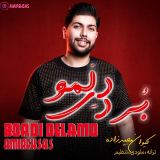 کاور آهنگ بردی دلمو