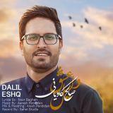 کاور آهنگ دلیل عشق