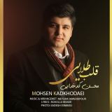 کاور آهنگ قلب طلایی