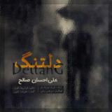 کاور آهنگ دلتنگ