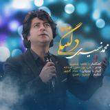 کاور آهنگ دلتنگی