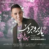 کاور آهنگ یار بروجردی 2