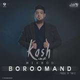 کاور آهنگ کاش میشد