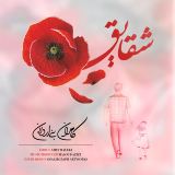 کاور آهنگ شقایق