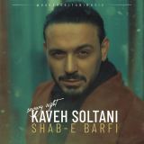 کاور آهنگ شب برفی