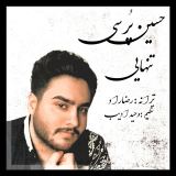 کاور آهنگ تنهایی
