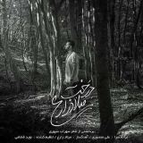 کاور آهنگ درخت