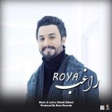کاور آهنگ رویا