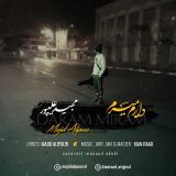 کاور آهنگ دارم میرم