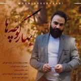 کاور آهنگ بهار کوچه ها