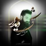 کاور آهنگ شوق دیدار
