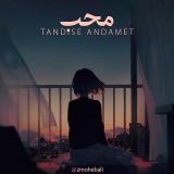 کاور آهنگ تندیس اندامت