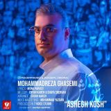 کاور آهنگ عاشق کش