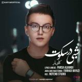 کاور آهنگ شبی در سکوت