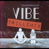 کاور آهنگ Vibe