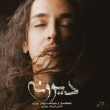 کاور آهنگ دیوونه