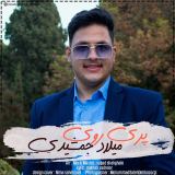 کاور آهنگ پری روی