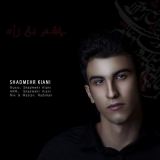 کاور آهنگ چشم به راه