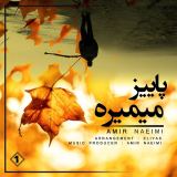 کاور آهنگ پاییزه میمیره