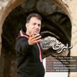 کاور آهنگ دلبری