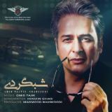کاور آهنگ شبگردی