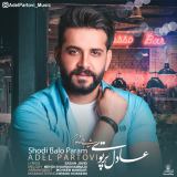 کاور آهنگ شدی بال و پرم