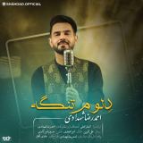 کاور آهنگ دلوم تنگه