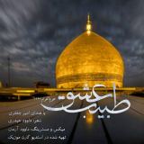 کاور آهنگ طبیب عشق