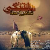 کاور آهنگ دلتنگی