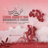 کاور آهنگ عشق جانانه من