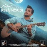 کاور آهنگ شبونه