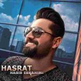 کاور آهنگ سیخ نری